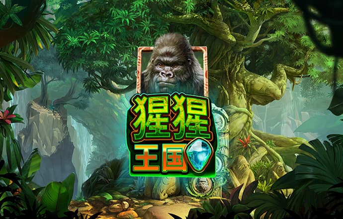 云开全站app官网